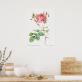 illustratie Roos Poster (Keuken)