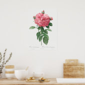  illustratie Roos Poster (Keuken)