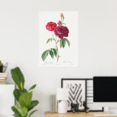 illustratie Roos Poster (Thuiskantoor)
