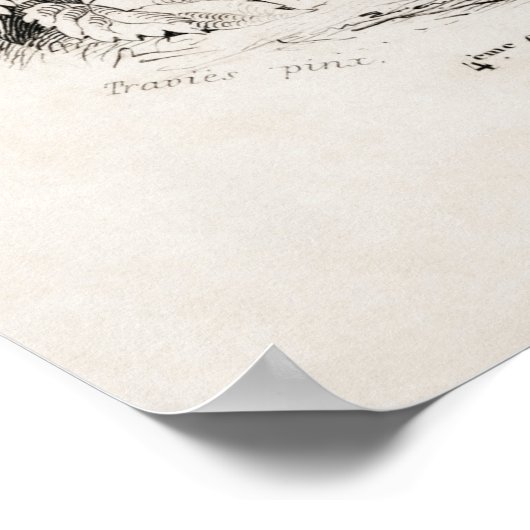 Illustratie  rooster poster (Hoek)