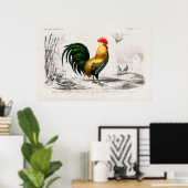 Illustratie  rooster poster (Thuiskantoor)