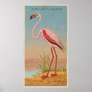 Illustratie roze flamingo (1889) poster