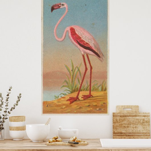 Illustratie  roze flamingo (1889) poster (Keuken)