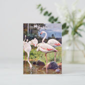  illustratie roze flamingos briefkaart (Staand voorkant)