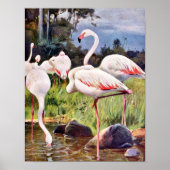 illustratie roze flamingos poster (Voorkant)