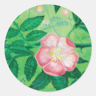 Illustratie roze vrij Roos Ronde Sticker
