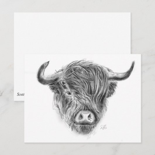 Illustratie Schotse hoogland Cow Briefkaart (Voorkant / Achterkant)