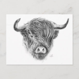 Illustratie Schotse hoogland Cow Briefkaart