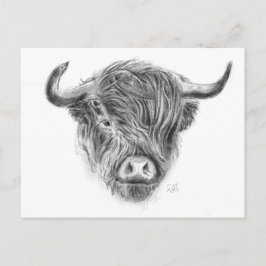 Illustratie Schotse hoogland Cow Briefkaart