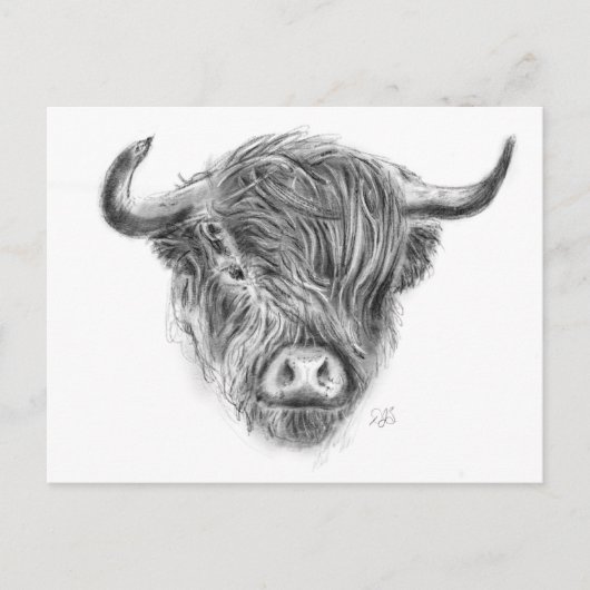 Illustratie Schotse hoogland Cow Briefkaart (Voorkant)