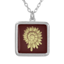 illustratie Seashell A01