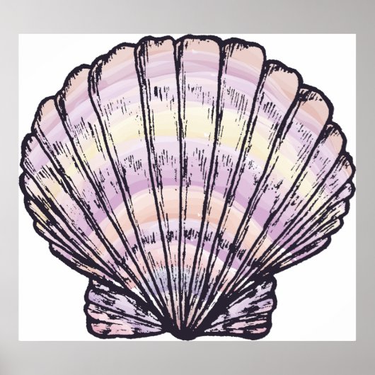 Illustratie Seashell Poster (Voorkant)