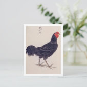  illustratie: Shamo kippen Briefkaart (Staand voorkant)