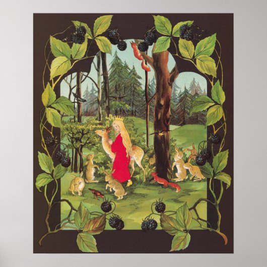  illustratie Sibylle von Olfers Poster (Voorkant)