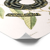 Illustratie  slang poster (Hoek)