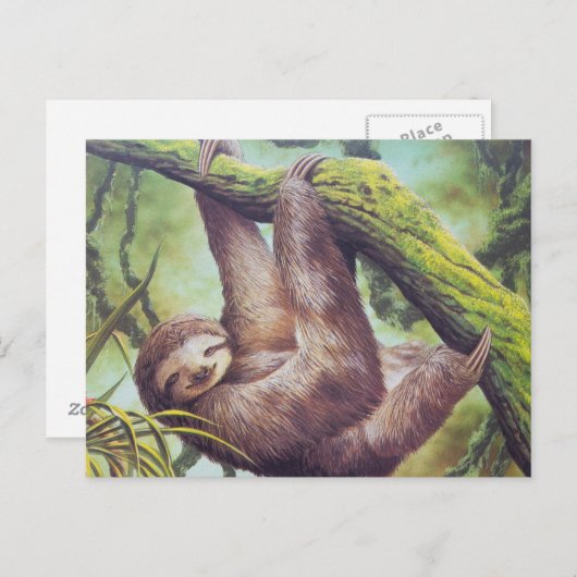  illustratie sleuf briefkaart (Voorkant / Achterkant)