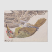  illustratie: specht tissuepapier (Voorkant)