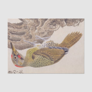  illustratie: specht tissuepapier