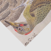  illustratie: specht tissuepapier (Detail)
