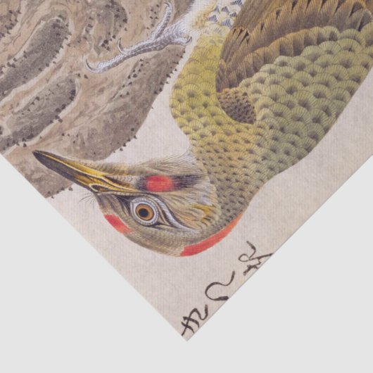 illustratie: specht tissuepapier (Detail)