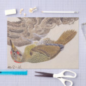  illustratie: specht tissuepapier (Craft)