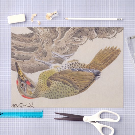  illustratie: specht tissuepapier (Craft)