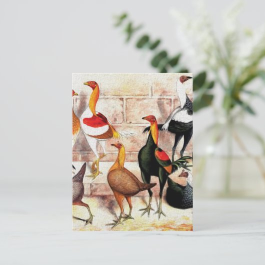  illustratie "Spelbantams" Briefkaart (Staand voorkant)