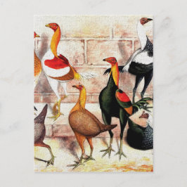 illustratie "Spelbantams" Briefkaart