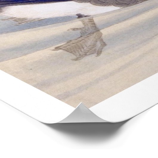  illustratie: Spot-billed eend Poster (Hoek)