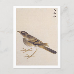  illustratie: spruw briefkaart