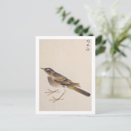  illustratie: spruw briefkaart (Staand voorkant)