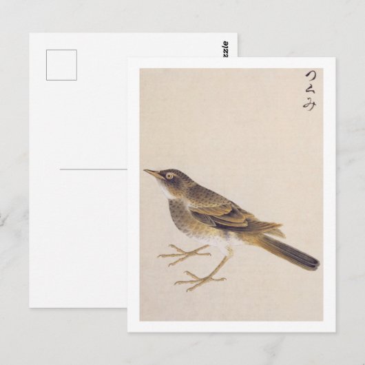  illustratie: spruw briefkaart (Voorkant / Achterkant)