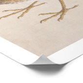  illustratie: spruw poster (Hoek)