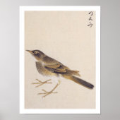  illustratie: spruw poster (Voorkant)