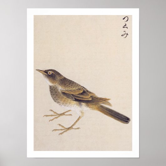  illustratie: spruw poster (Voorkant)