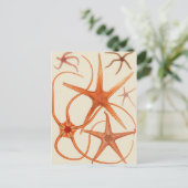 Illustratie  stervis briefkaart (Staand voorkant)