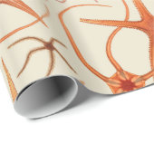 Illustratie  stervis cadeaupapier (Rol Hoek)