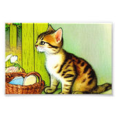 Illustratie  tabby Cat Foto Afdruk (Voorkant)