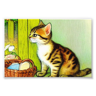 Illustratie tabby Cat Foto Afdruk