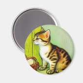 Illustratie tabby Cat Magneet (Voorkant / Achterkant)