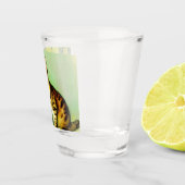 Illustratie  tabby Cat Shot Glas (Rechts)
