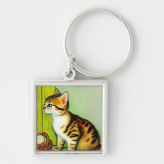 Illustratie tabby Cat Sleutelhanger (Voorkant)