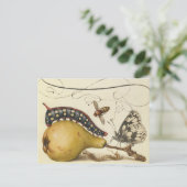 Illustratie ter illustratie van de insekte van vli briefkaart (Staand voorkant)