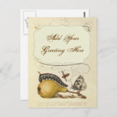 Illustratie ter illustratie van de insekte van vli briefkaart (Voorkant / Achterkant)