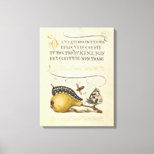 Illustratie ter illustratie van de insekte van vli canvas afdruk