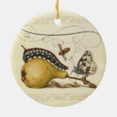 Illustratie ter illustratie van de insekte van vli keramisch ornament (Achterkant)