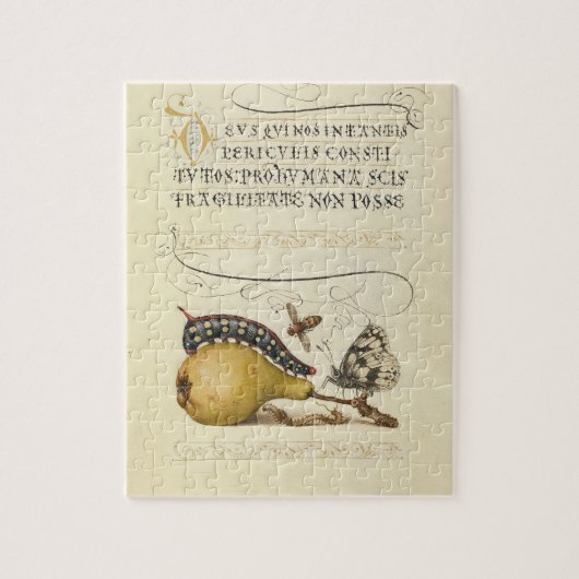 Illustratie ter illustratie van de insekte van vli legpuzzel (Verticaal)