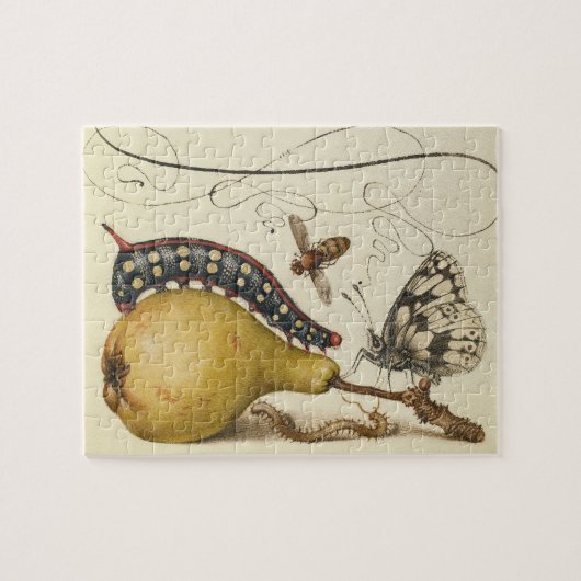 Illustratie ter illustratie van de insekte van vli legpuzzel (Horizontaal)