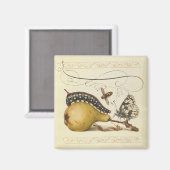 Illustratie ter illustratie van de insekte van vli magneet (Voorkant / Achterkant)