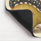 Illustratie ter illustratie van de insekte van vli muismat (Hoek)